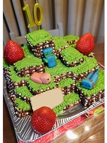 �}�C���N���t�g�̗��̃P�[�L