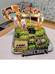 �}�C���N���t�g�̃t�B�[���h�����̃P�[�L