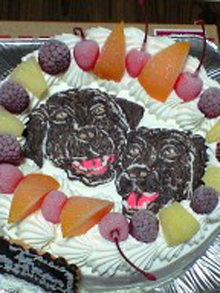 犬の似顔絵ケーキ