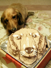 犬の立体ケーキ