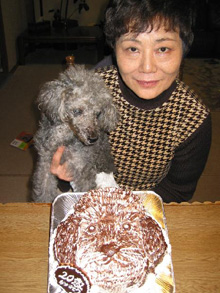 犬の顔型 立体ケーキ