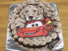 �J�[�Y�̃��C�g�j���O�}�b�N�C�[���ƃy�b�g�̌��̃C���X�g�P�[�L