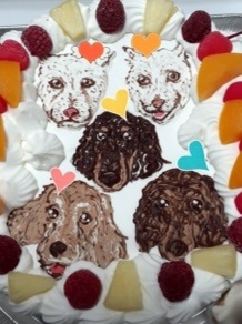 犬 誕生日ケーキを最短3日でお届け キャラクターケーキ通販の キャラケーキ Com 検索結果