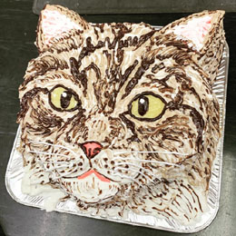 猫の顔型立体ケーキ
