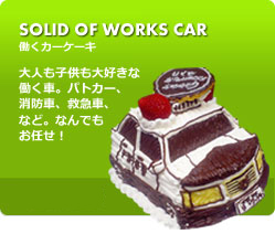 SOLID OF WORKS CAR J[P[L@lqDȓԁBpgJ[AhԁA~}ԂȂǁBȂłCI