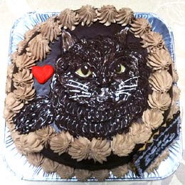 動物 ペット似顔絵ケーキ 誕生日ケーキにキャラクターケーキはいかがですか 通販のキャラケーキ Com
