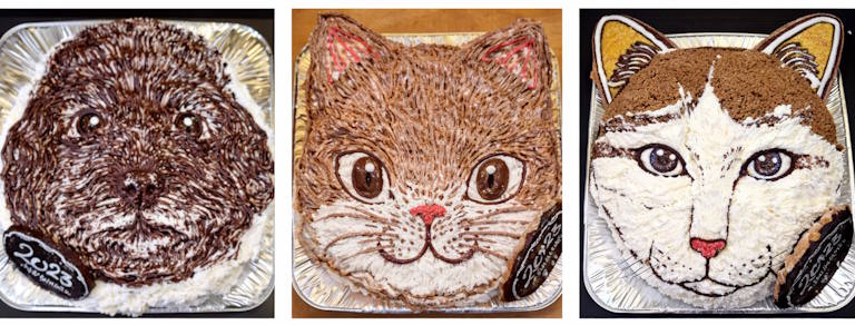 犬や猫の顔型立体ケーキ