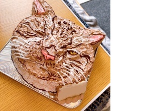 ペットの顔型立体ケーキ